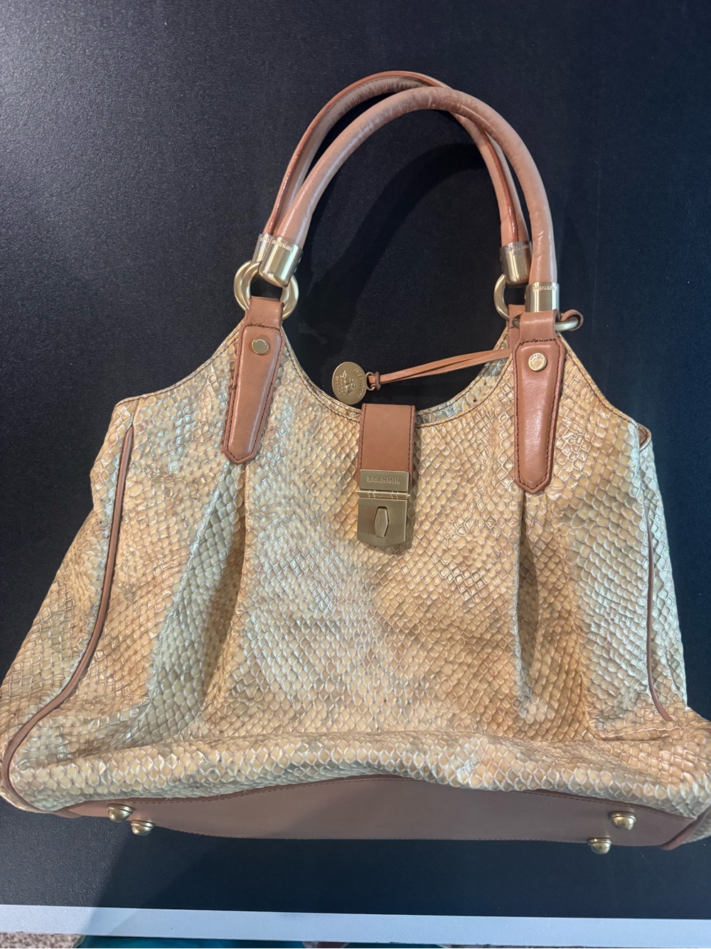 Beautiful Brahmin purse